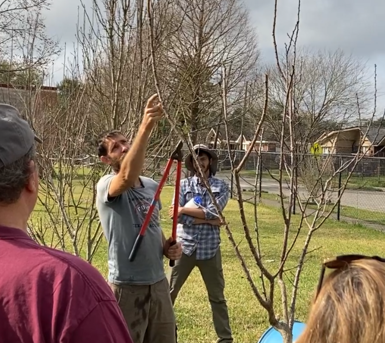 Winter Fruit Tree Care: A Permaculture Approach logo