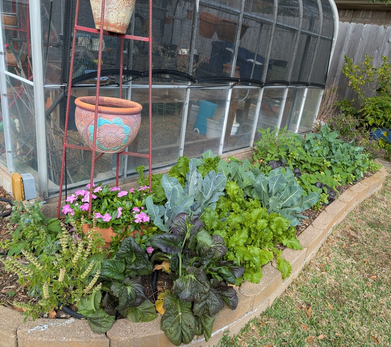 Designing and Maintaining a Successful Backyard Garden logo