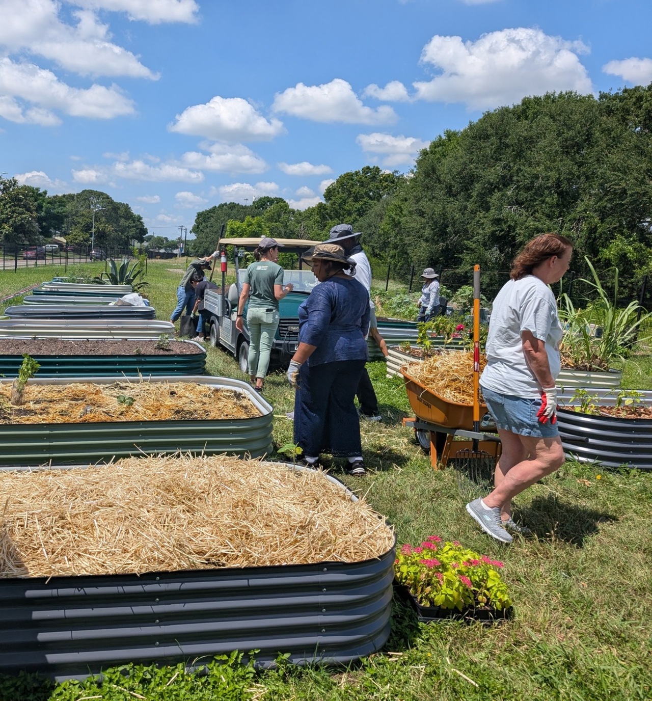 Tools for Maintaining a Successful Community Garden logo