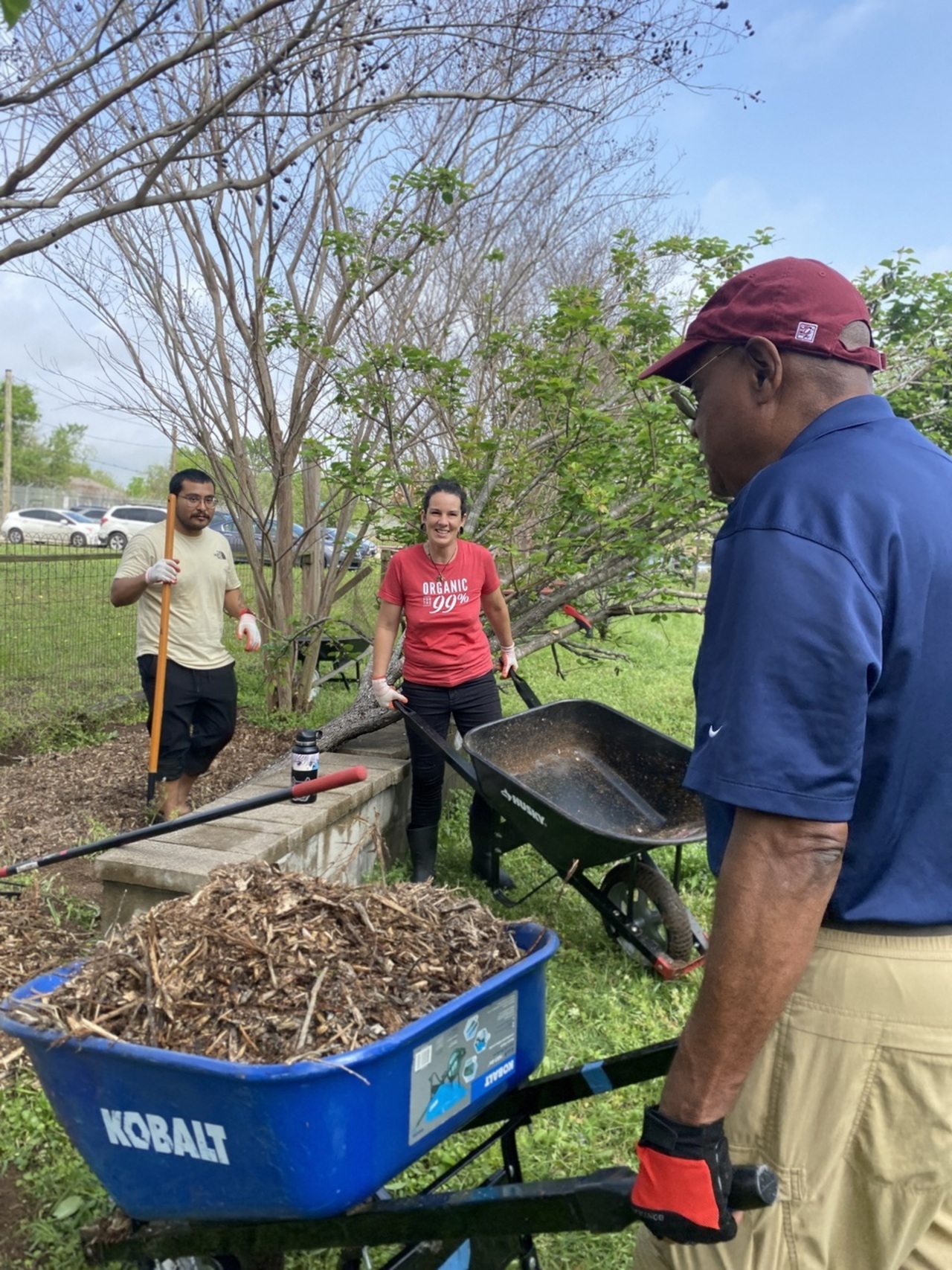 Dig it Day at Alabama Gardens logo