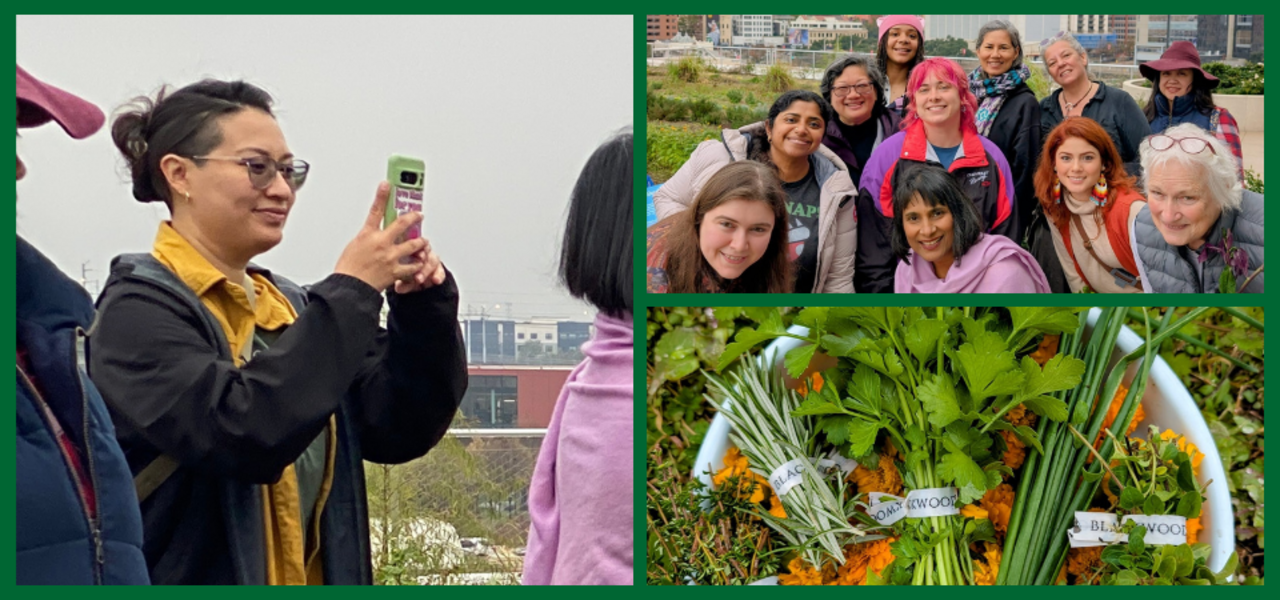 Permaculture in the Digital Spotlight logo