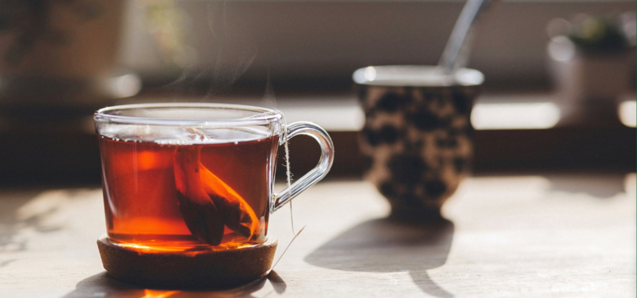 Making and Using Herbal Tea with Local Herbs logo