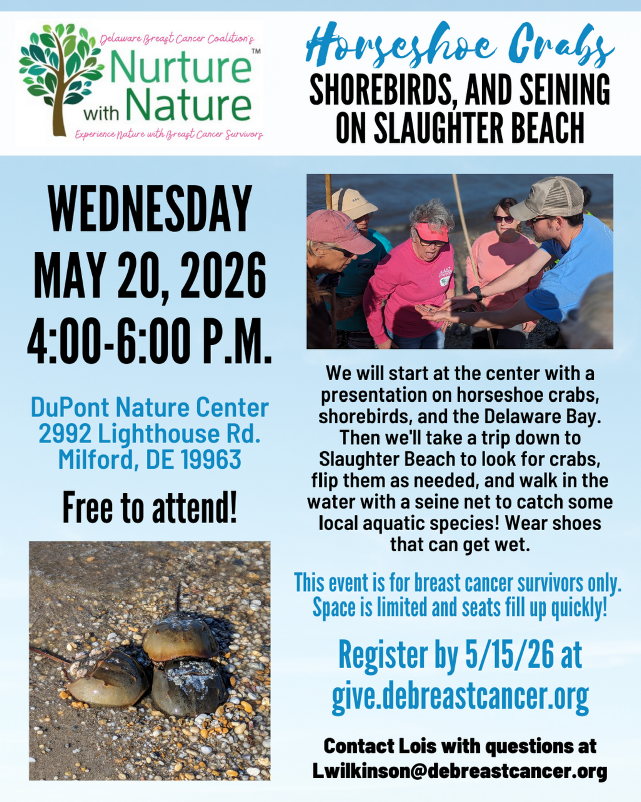Horseshoe Crabs, Shorebirds, and Seining on Slaughter Beach logo