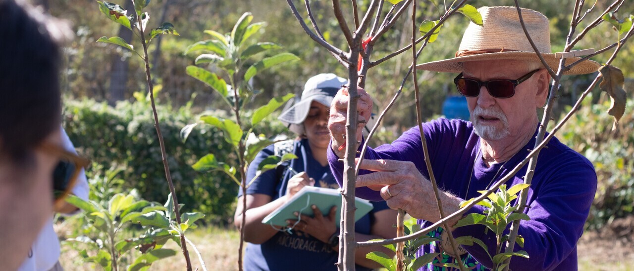 Practical Permaculture: Fruit Tree Pruning in the Food Forest logo