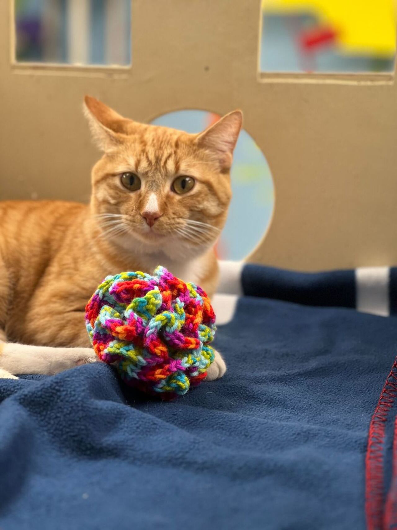 Crochet For Cats logo