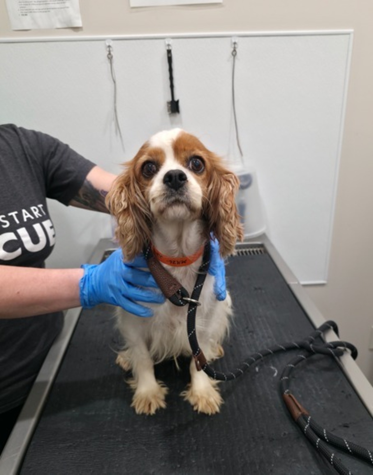 The Finish Line Fund logo