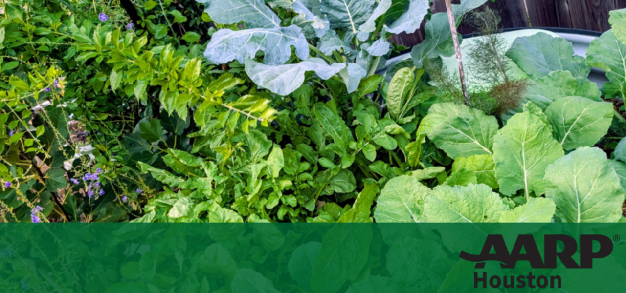 Preparing for Fall Vegetable Gardening logo