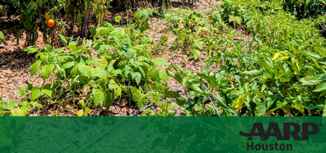 Maintaining a Successful Spring Garden logo