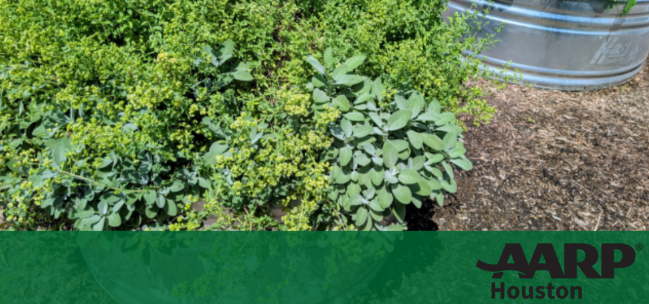 Creating a Bountiful Fall Herb Garden logo