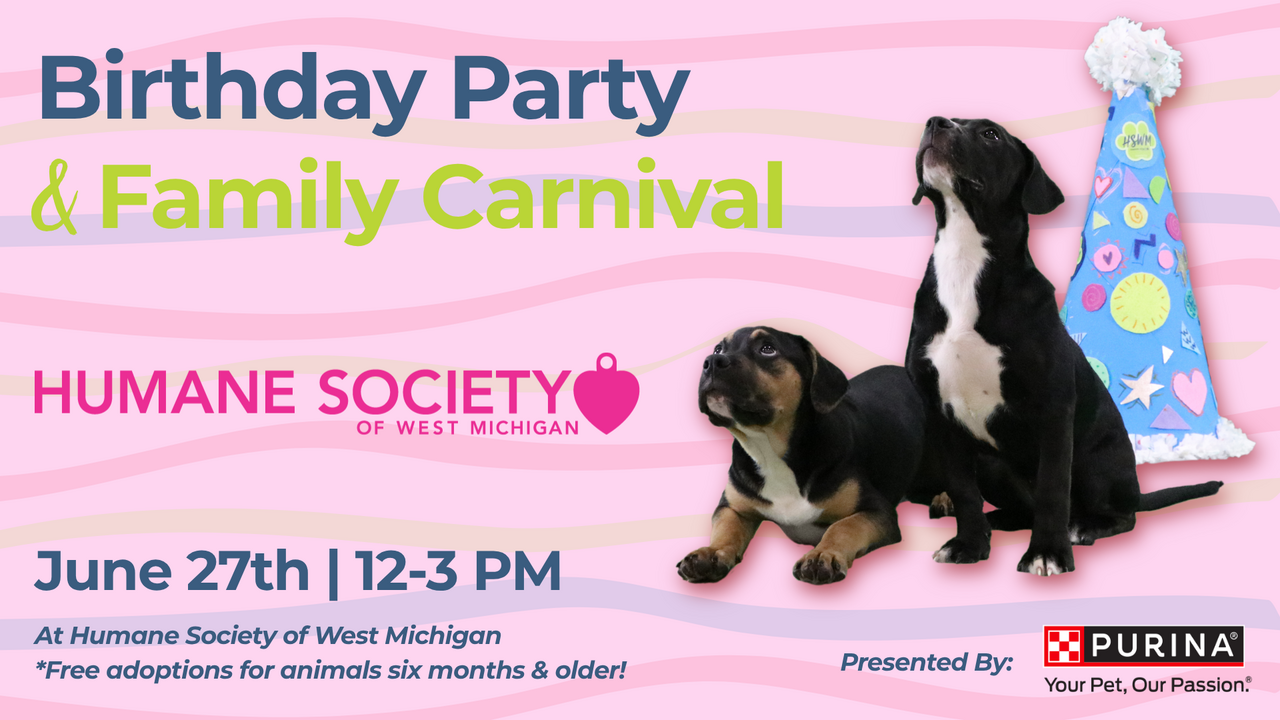 143rd Birthday Party & Carnival logo