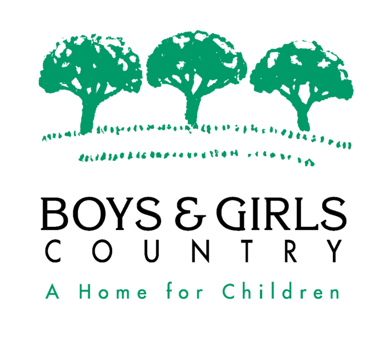 IICF Volunteers at Boys and Girls Country logo