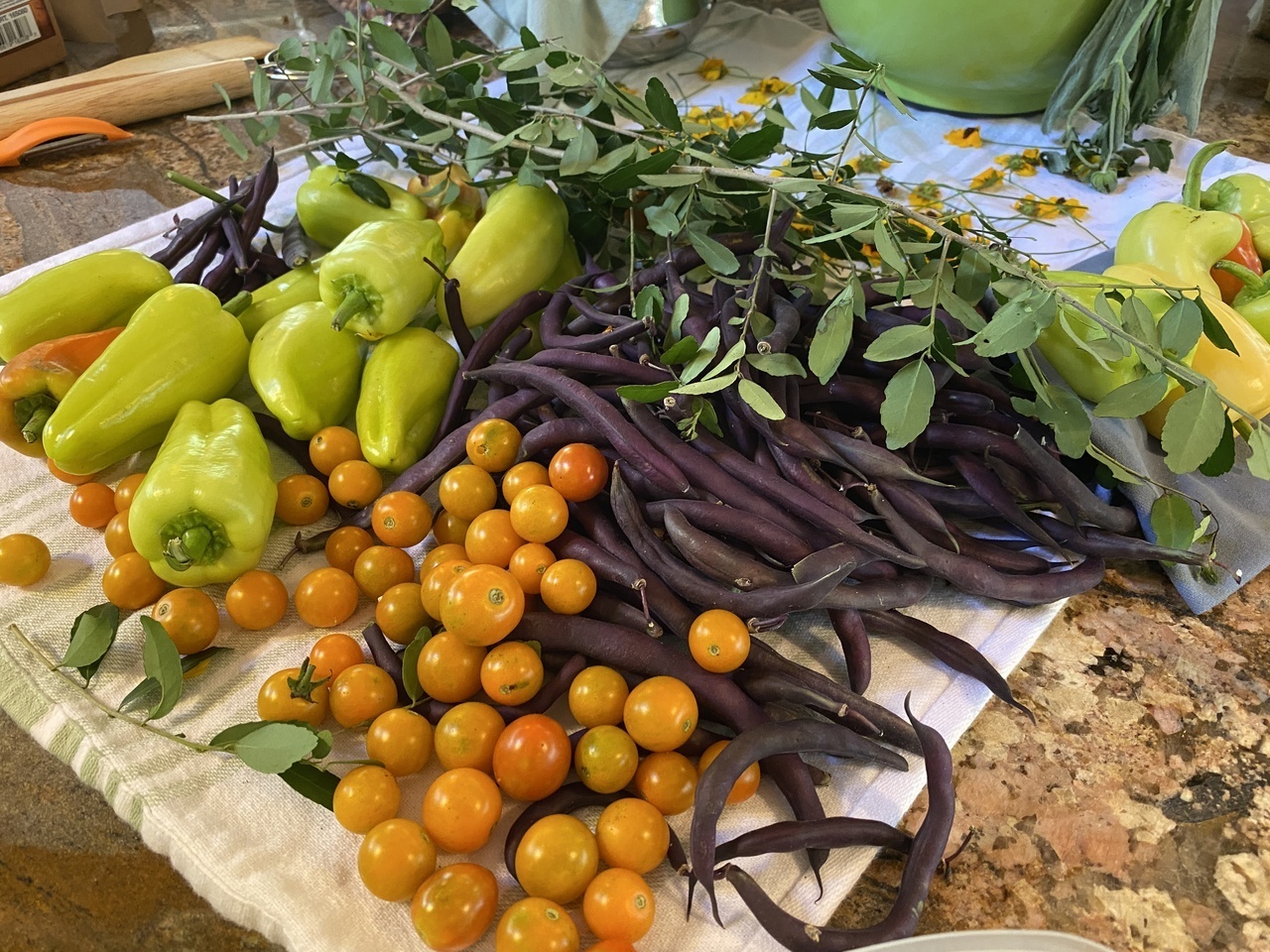 Intro to Permaculture and Regenerative Agriculture Practices logo