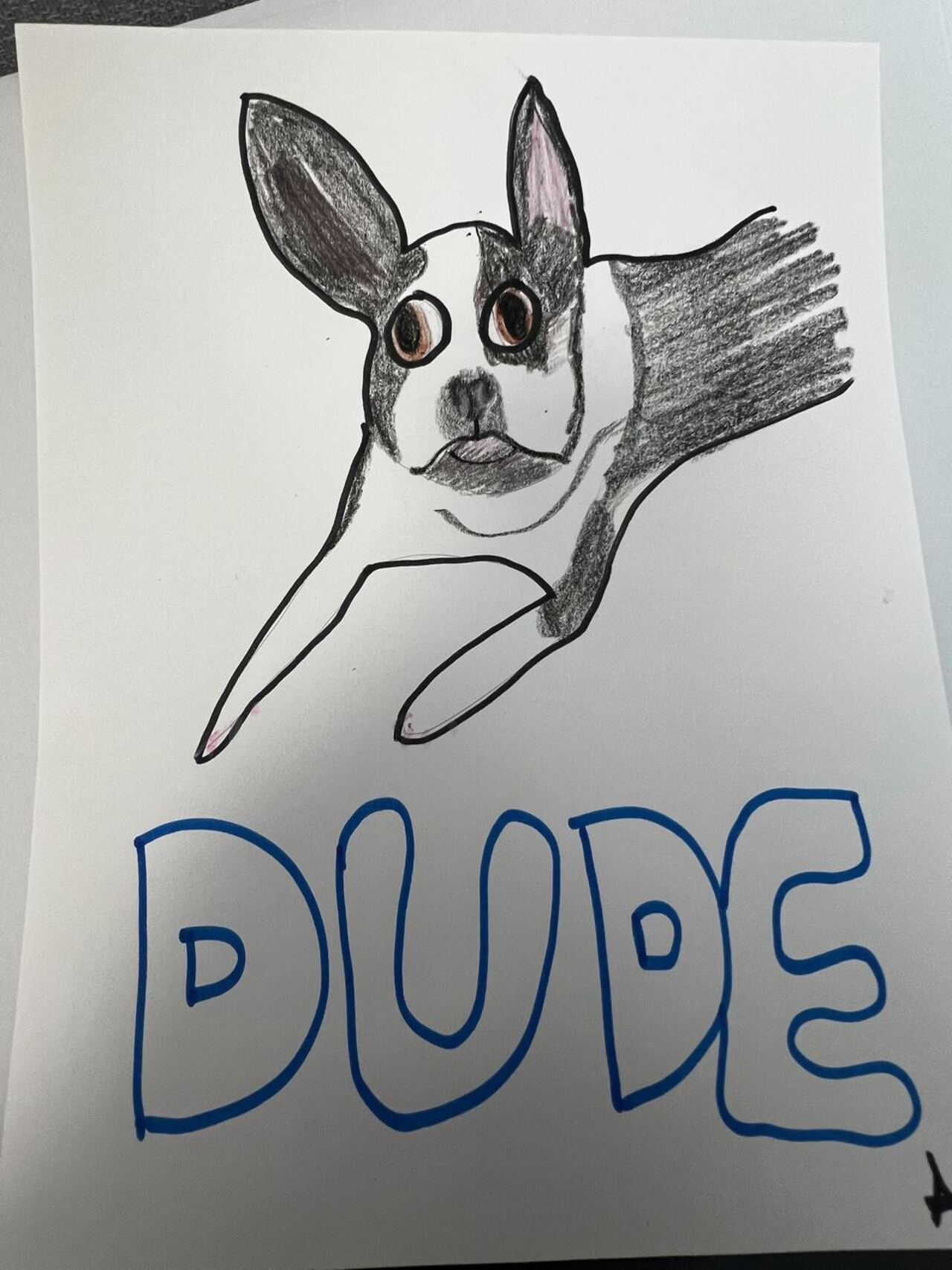 Poorly Drawn Pet Portrait logo