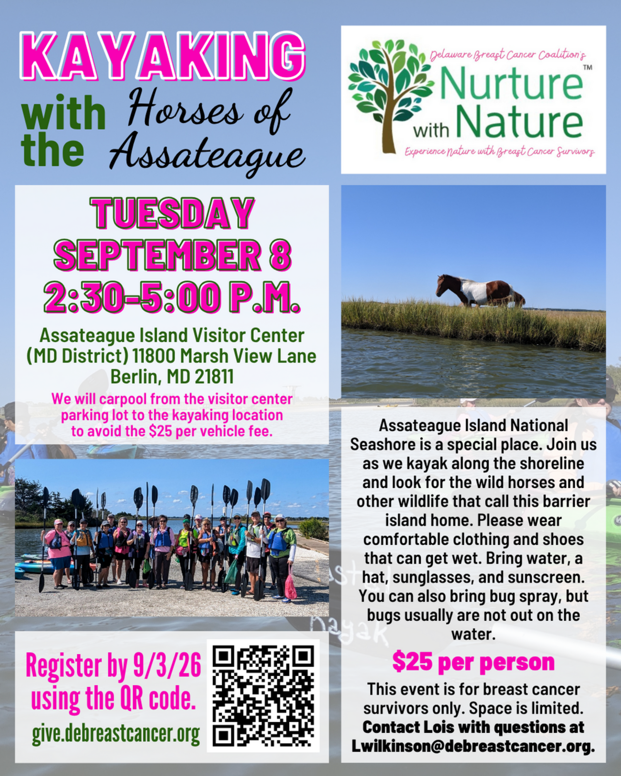 Kayaking with the Horses of Assateague logo