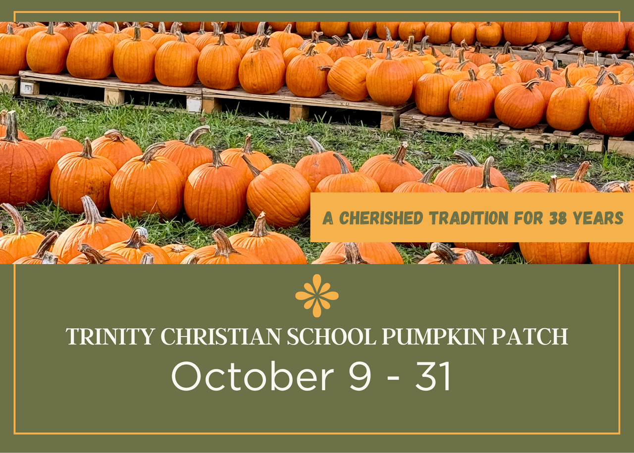 Pumpkin Patch 2026 logo