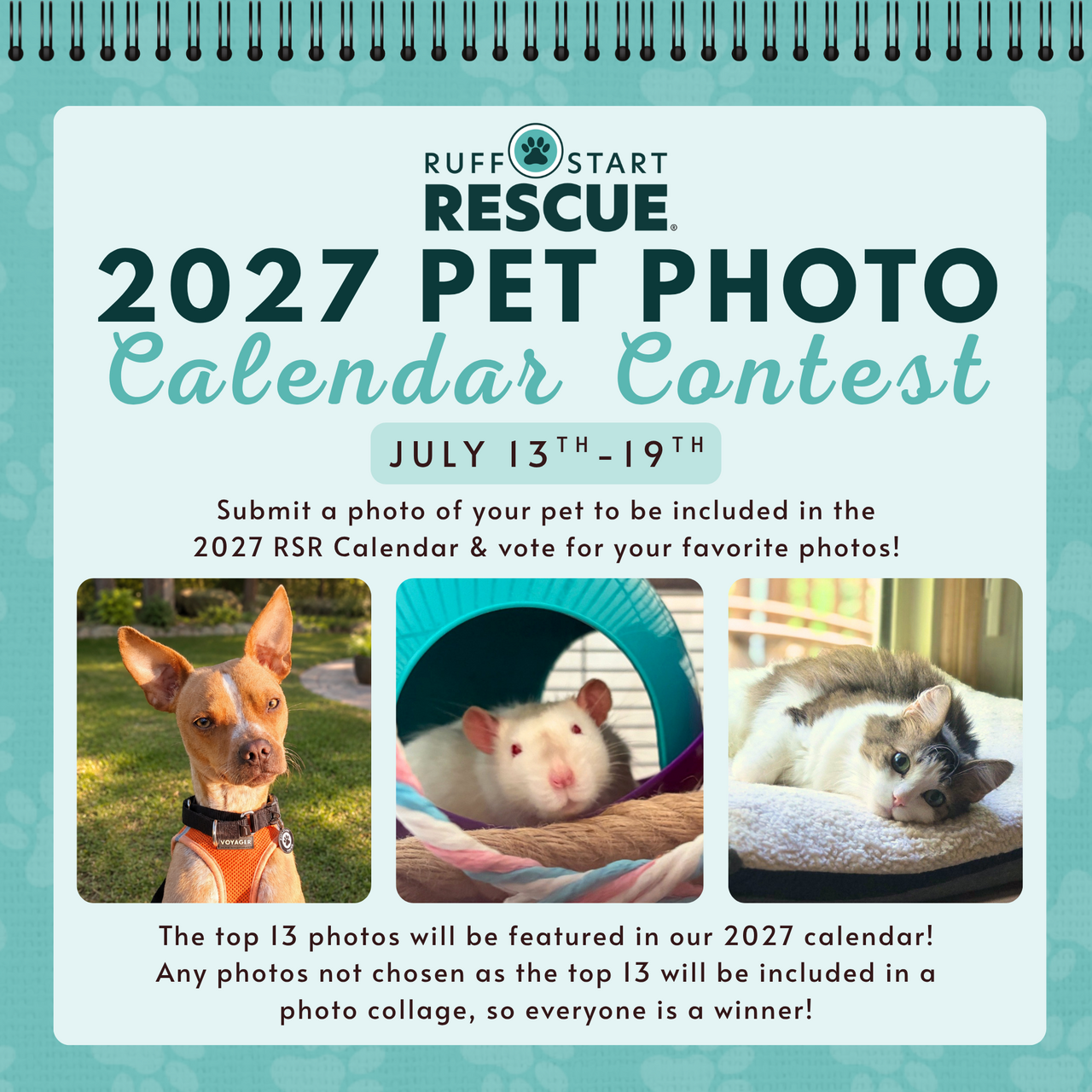 2027 Ruff Start Rescue Calendar logo