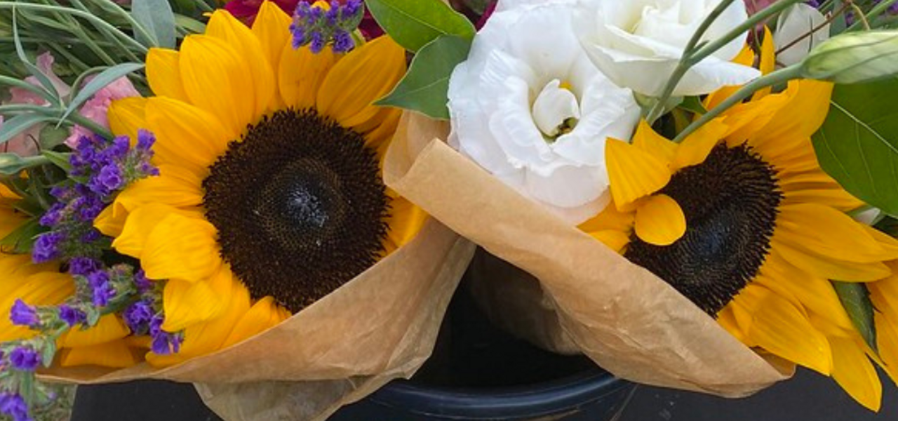 Growing Fresh Cut Flowers for the Fall and Holiday Season logo