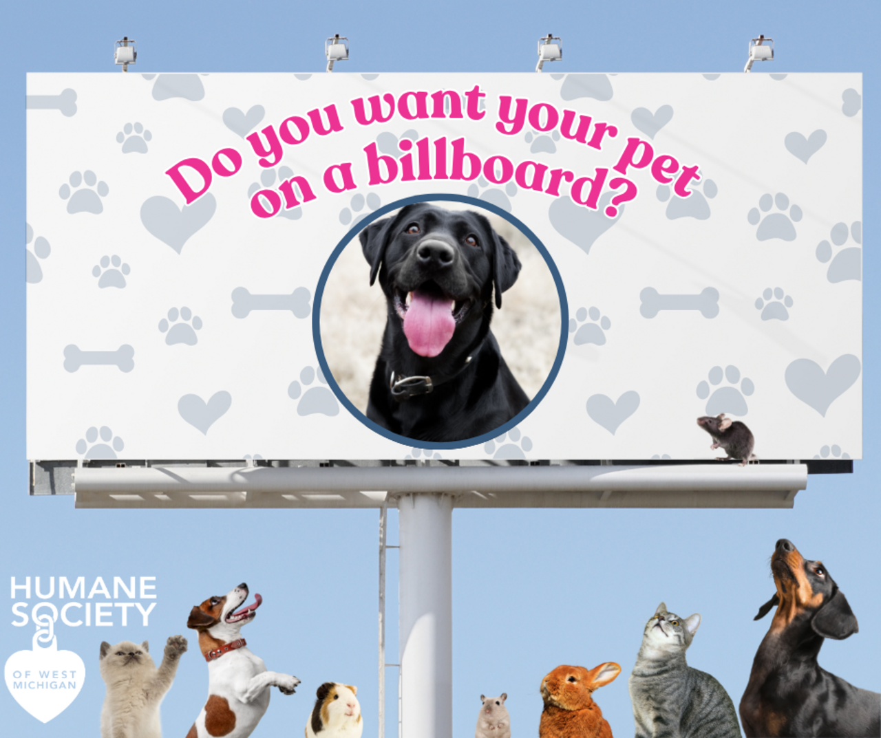 2026 Picture Paw-fect Billboard Competition logo