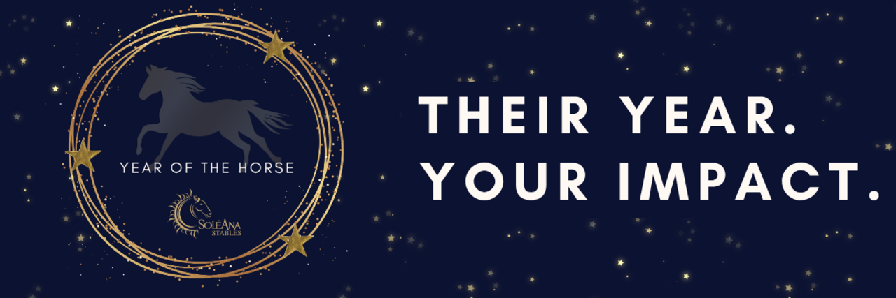 Their Year. Your Impact. logo