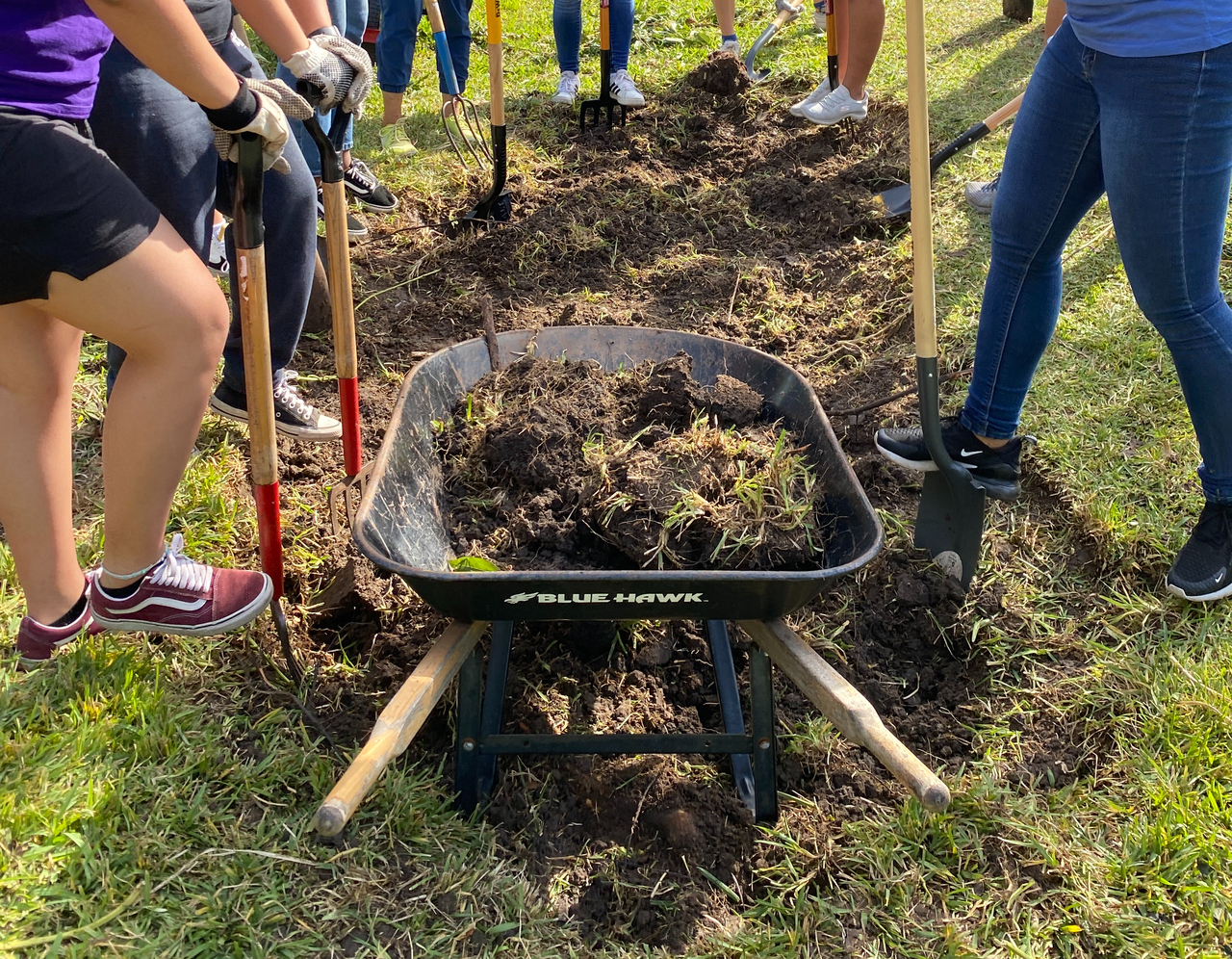 Intro to Permaculture and Rain Gardens logo