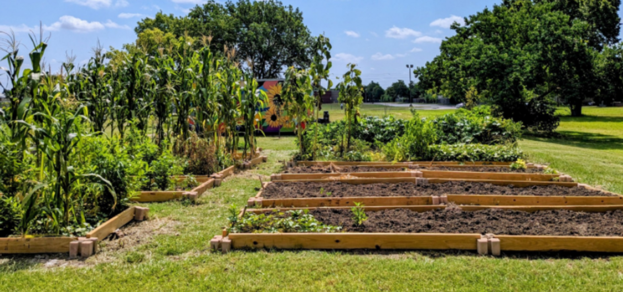 GOV - Vegetable Temperatures, Planting Zones, and Fall Crops logo