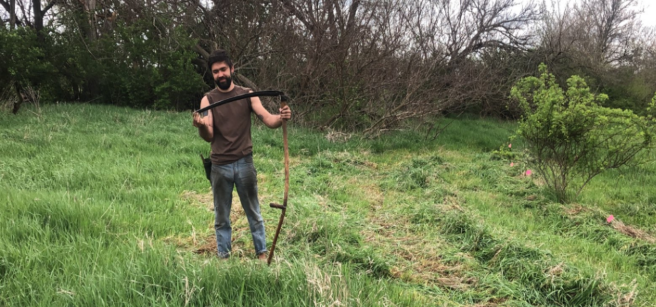 Homesteading with Gabe - Learning to Grow Where You Are logo