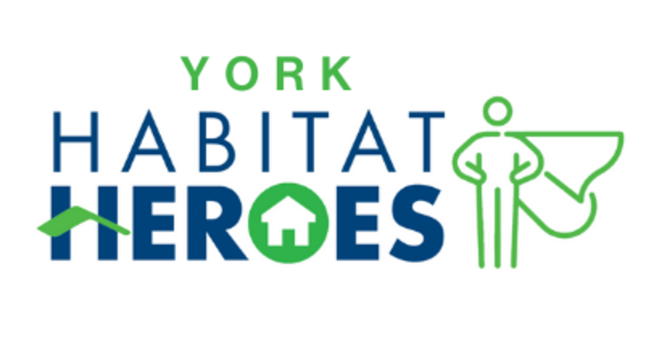 Let's Habi-Tea Volunteering logo