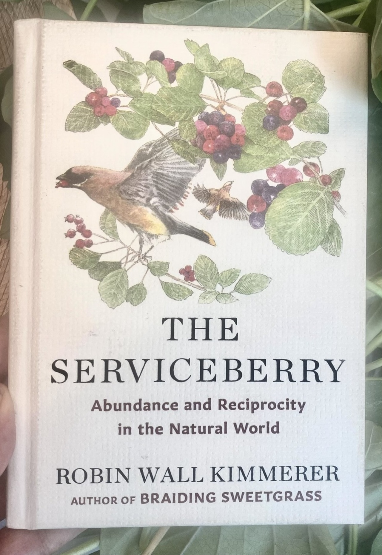 Permaculture Book Club: The Service Berry logo