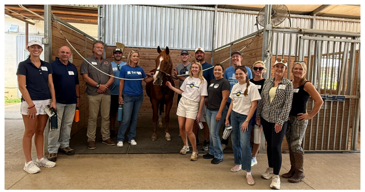 IICF Volunteers at Equest logo