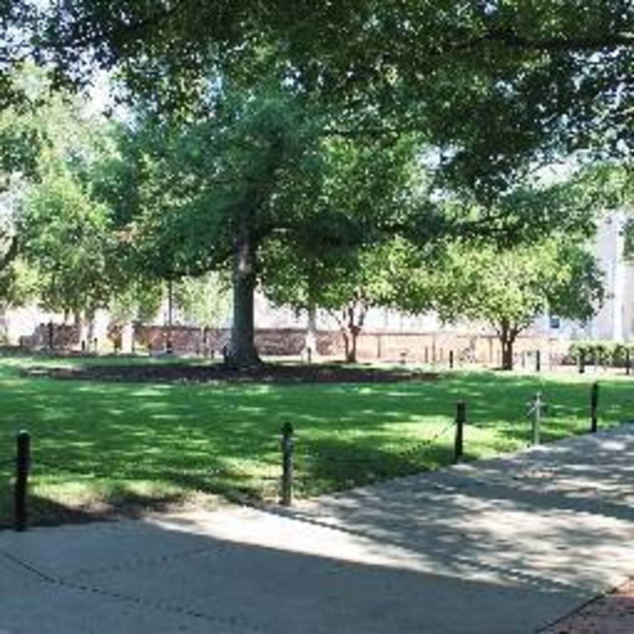 South Carolina USC October Tabling #1 logo