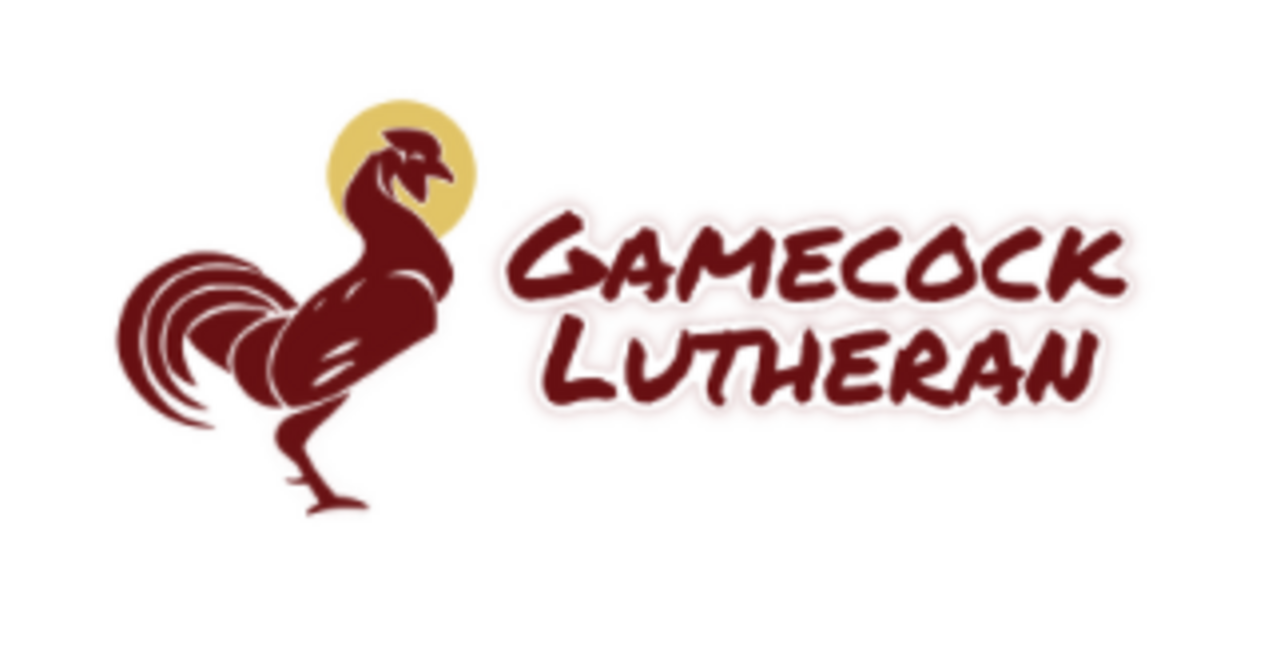 South Carolina Coming Out Day with Gamecock Lutheran logo