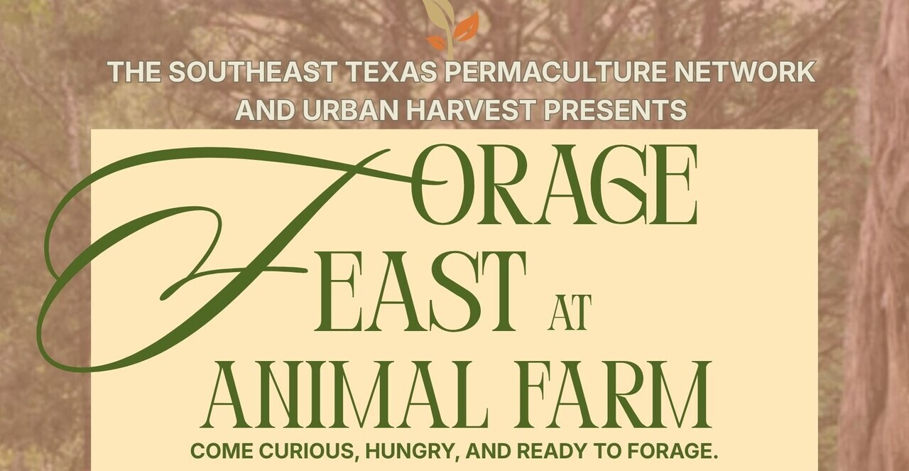 Permaculture Forage and Feast at Animal Farm logo