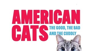 American Cats Documentary Screening logo