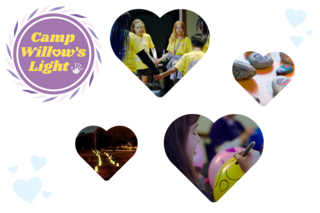 Camp Willow's Light 2026 logo