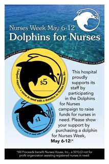 Dolphins for Nurses logo