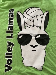 Mario Gallego avatar