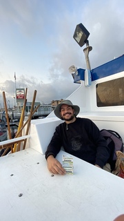 Sina Shahrood avatar