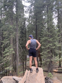 Luke Devlin-Hernandez avatar