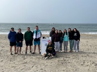 Isabella Bettencourt avatar