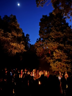 Ashleey Rodriguez avatar