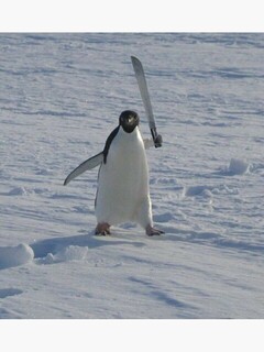 Tom Gallagher avatar