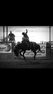 Polly Leblanc avatar