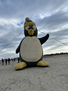 Heather Spiver- Reynolds avatar