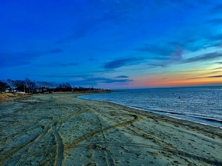 Arlene Dickinson avatar