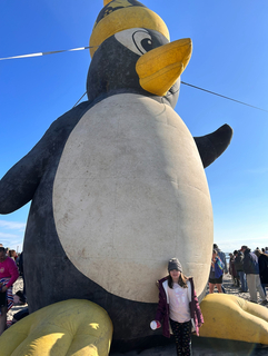 Elena Fernandes avatar