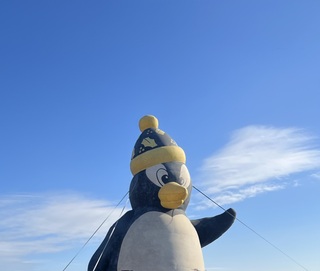 Allyson Tessied avatar