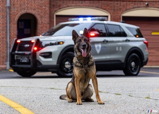 Jeffrey Fraser avatar