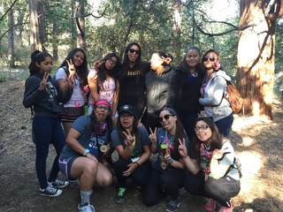 Michelle Knoll (Cakes) avatar