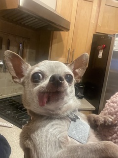 Abby Dyson avatar
