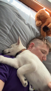 Quinlan Riffenburg avatar